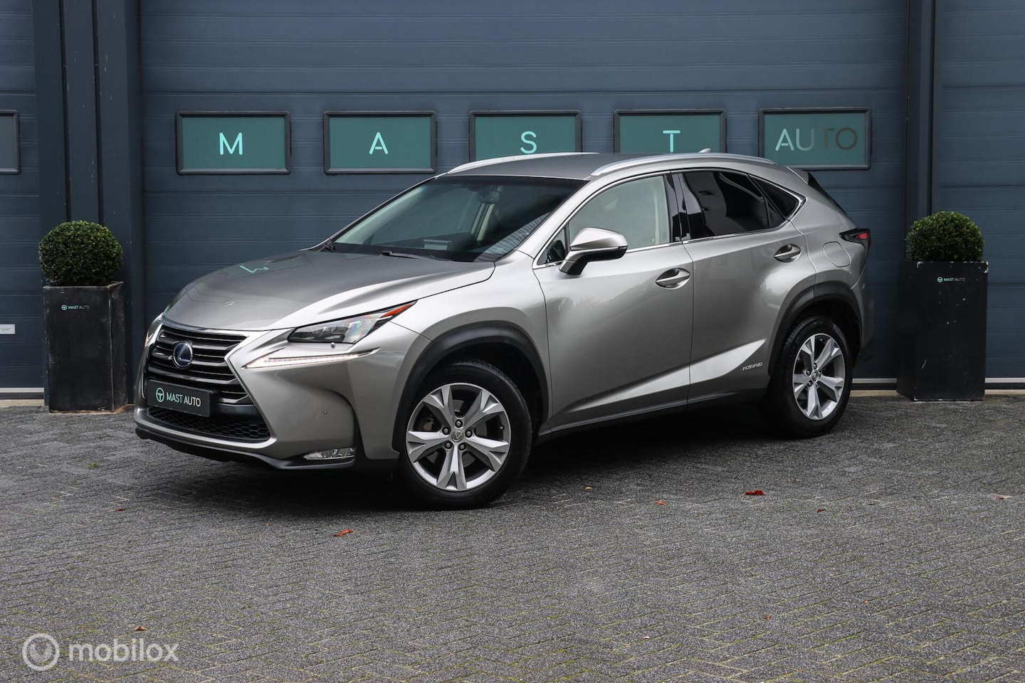 Lexus NX - 300h AWD Luxury Line|LEDER|CAMERA|STOELVENTILATIE|MARK LEVINSON AUDIO - AutoWereld.nl