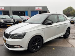 Skoda Fabia - 1.0 TSI Clever