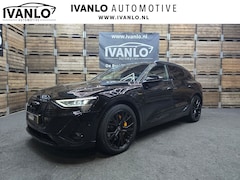 Audi e-tron - 55 quattro S edition 95 kWh 2x S-Line Black Edition Camera Navi 21"LM 95.4% SOH