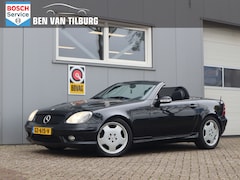 Mercedes-Benz SLK-klasse - 320 / AMG-pakket / Stoelverwarming