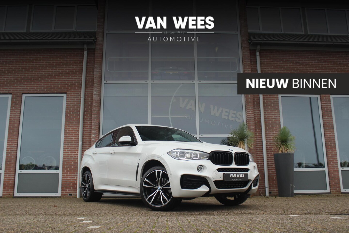 BMW X6 - xDrive35i High Executive | M Sportpakket | Driving Assistant | Harman/Kardon | Head-up | S - AutoWereld.nl