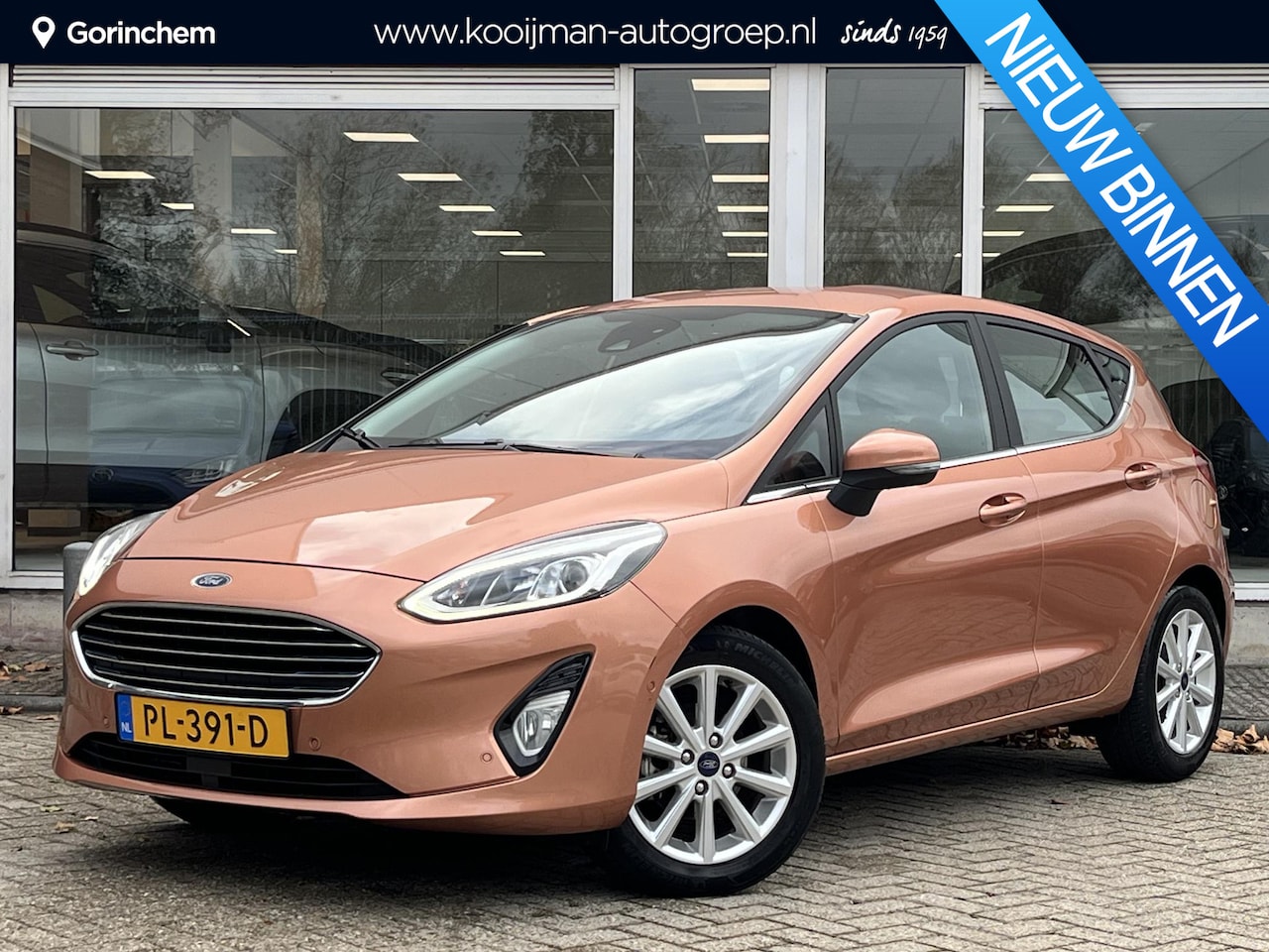 Ford Fiesta - 1.0 EcoBoost Titanium / luxe uitvoering! / trekhaak / apple-carplay, android-auto - AutoWereld.nl