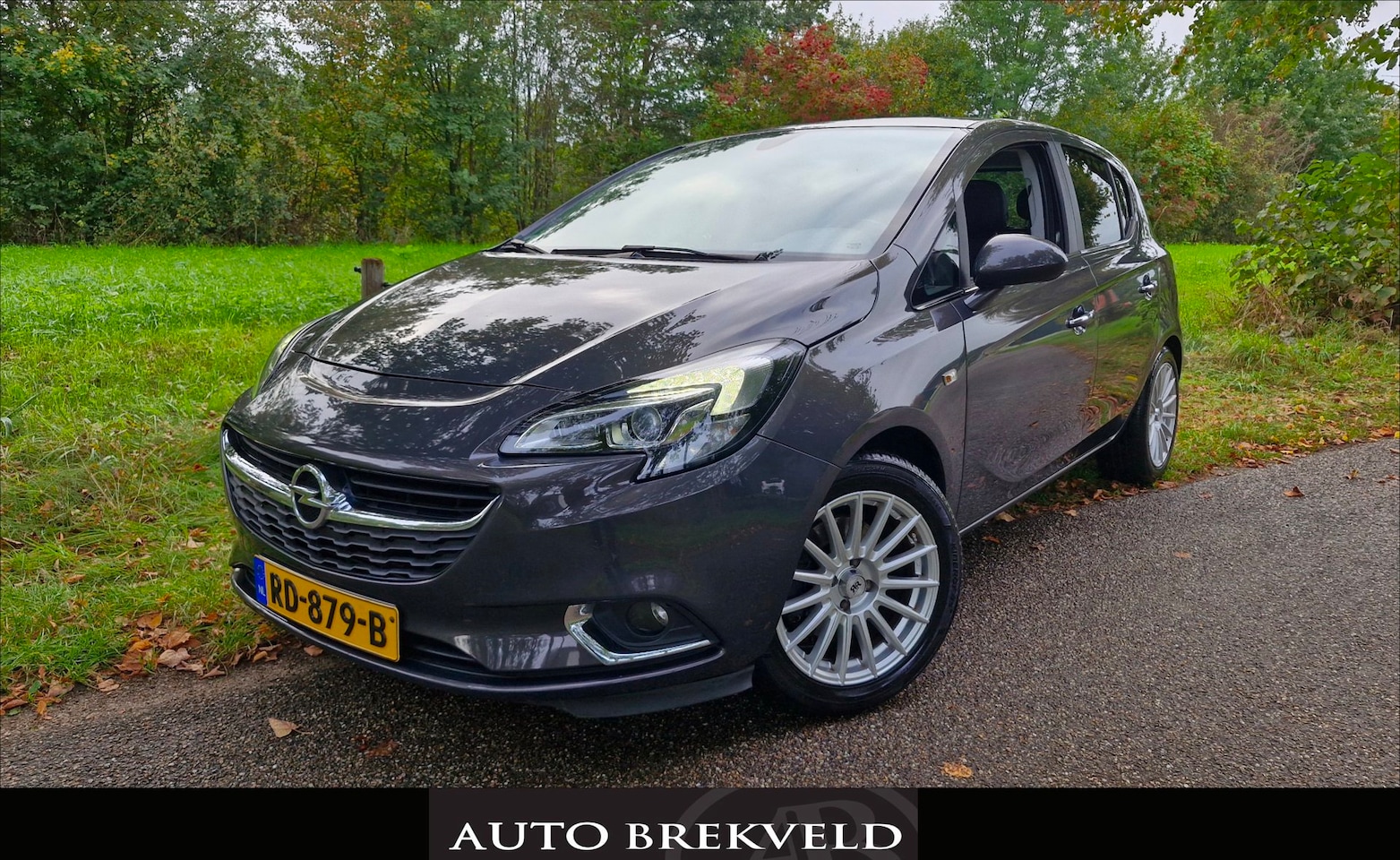 Opel Corsa - 1.4-16V Cosmo 101PK | Elektrisch pakket | PDC | Clima | Cruise | LMV - AutoWereld.nl