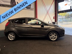 Ford Fiesta - 1.0 EcoBoost Titanium camera navi