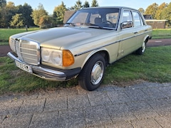 Mercedes-Benz 200-280 (W123) - 230