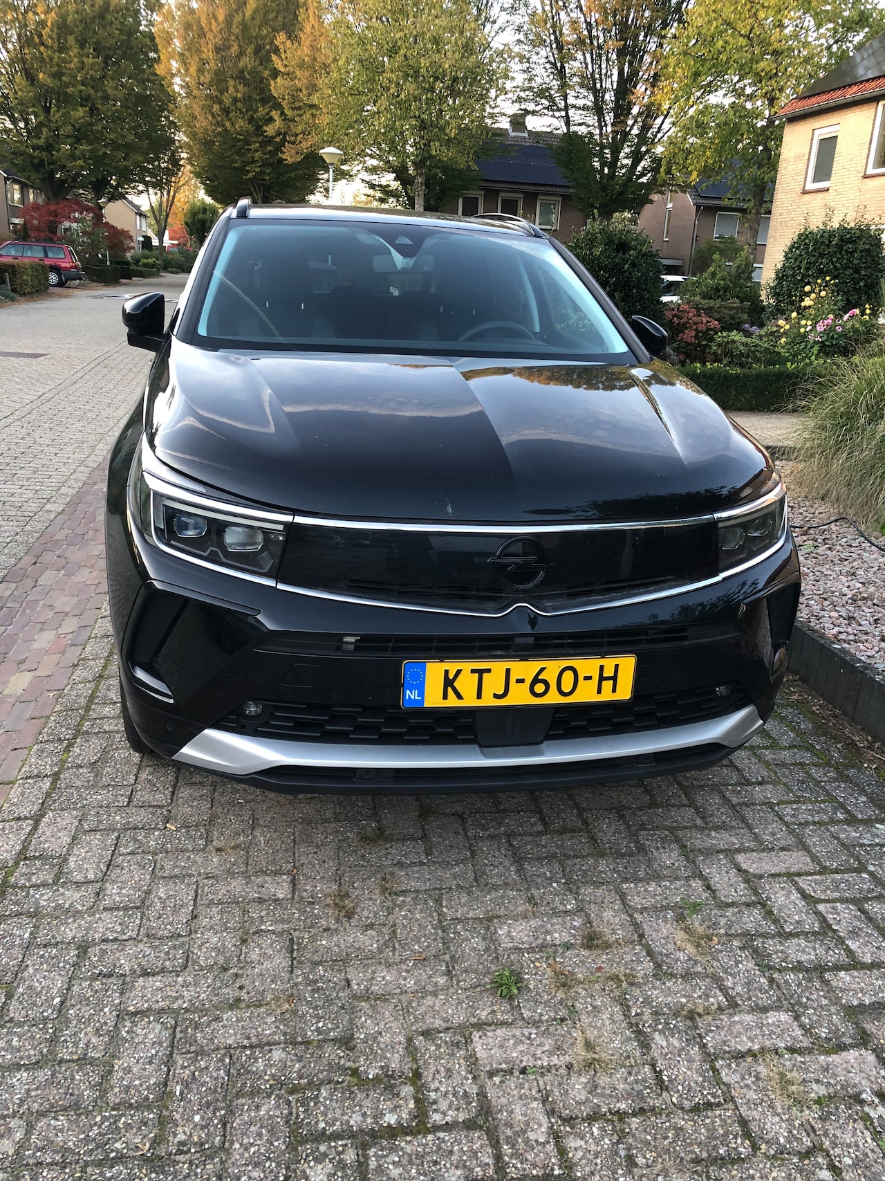 Opel Grandland - 1.6 Turbo Hybrid Business Elegance 1.6 PHEV plug in. Trekhaak. - AutoWereld.nl
