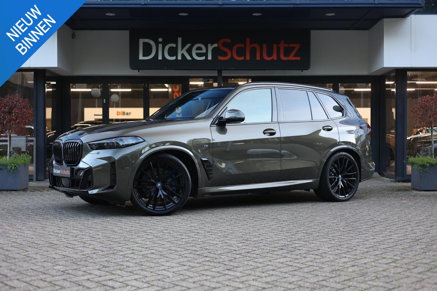 BMW X5 - xDrive50e Vierwielb | Pano | trekhaak | Individual leder - AutoWereld.nl