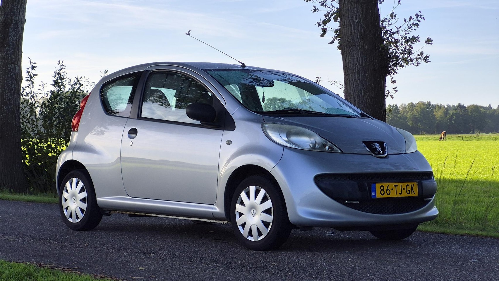 Peugeot 107 - 1.0-12V XR APK 9-10-2027 I Stuurbekrachtiging - AutoWereld.nl