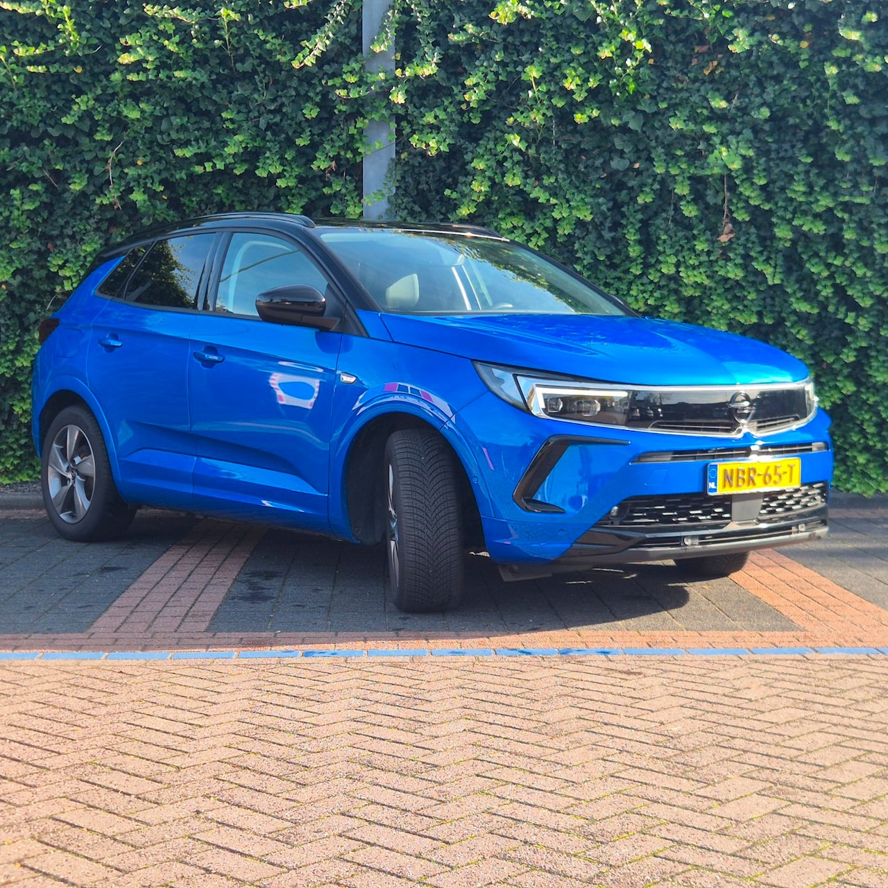 Opel Grandland - GSe 1.6 Hybrid4 300 pk | 4x4 | Alcantara | ACC | Camera - AutoWereld.nl