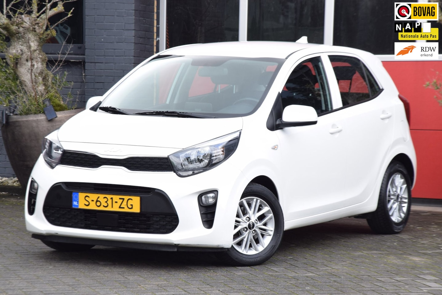 Kia Picanto - 1.0 DPi DynamicLine 5p 2023 Camera Carplay Cruise Control - AutoWereld.nl