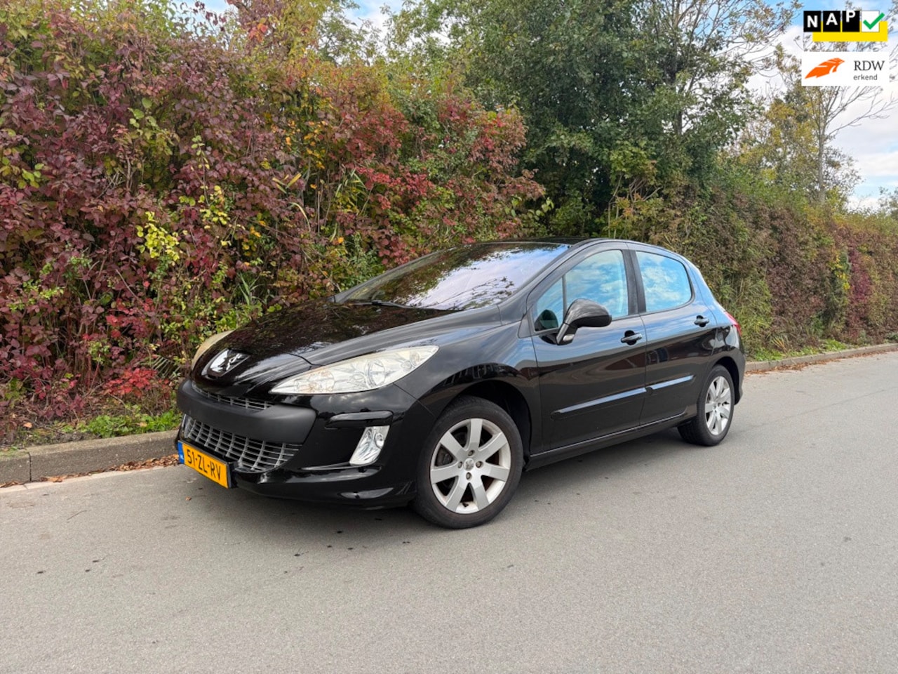 Peugeot 308 - 1.6 VTi XS automaat 78.630 km nap 2e eigenaar. - AutoWereld.nl