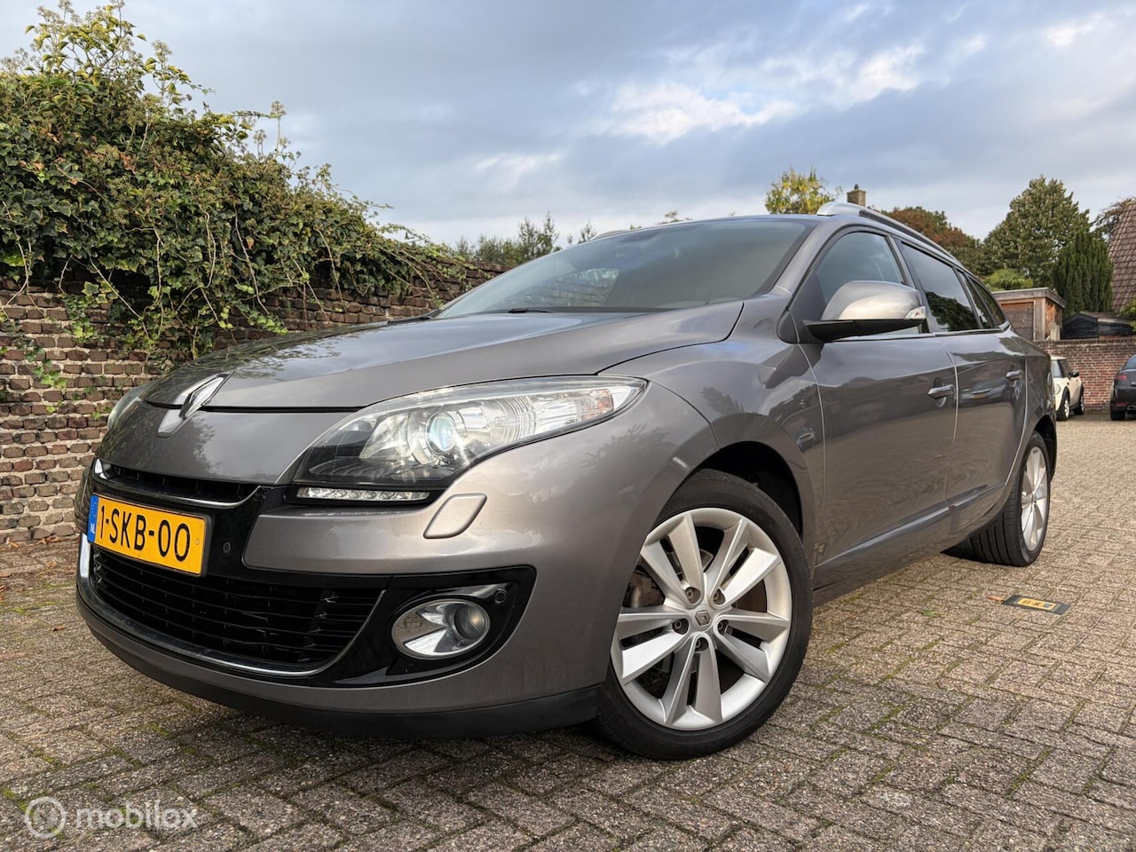 Renault Mégane Estate - 2.0 Bose Automaat / Leder / Trekhaak - AutoWereld.nl