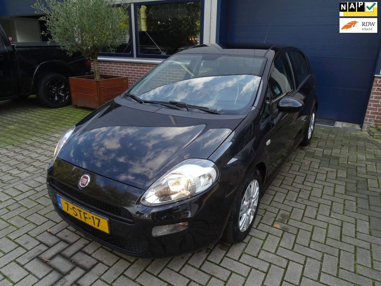 Fiat Punto Evo - 0.9 TwinAir Edizione Cool 0.9 TwinAir Edizione Cool - AutoWereld.nl