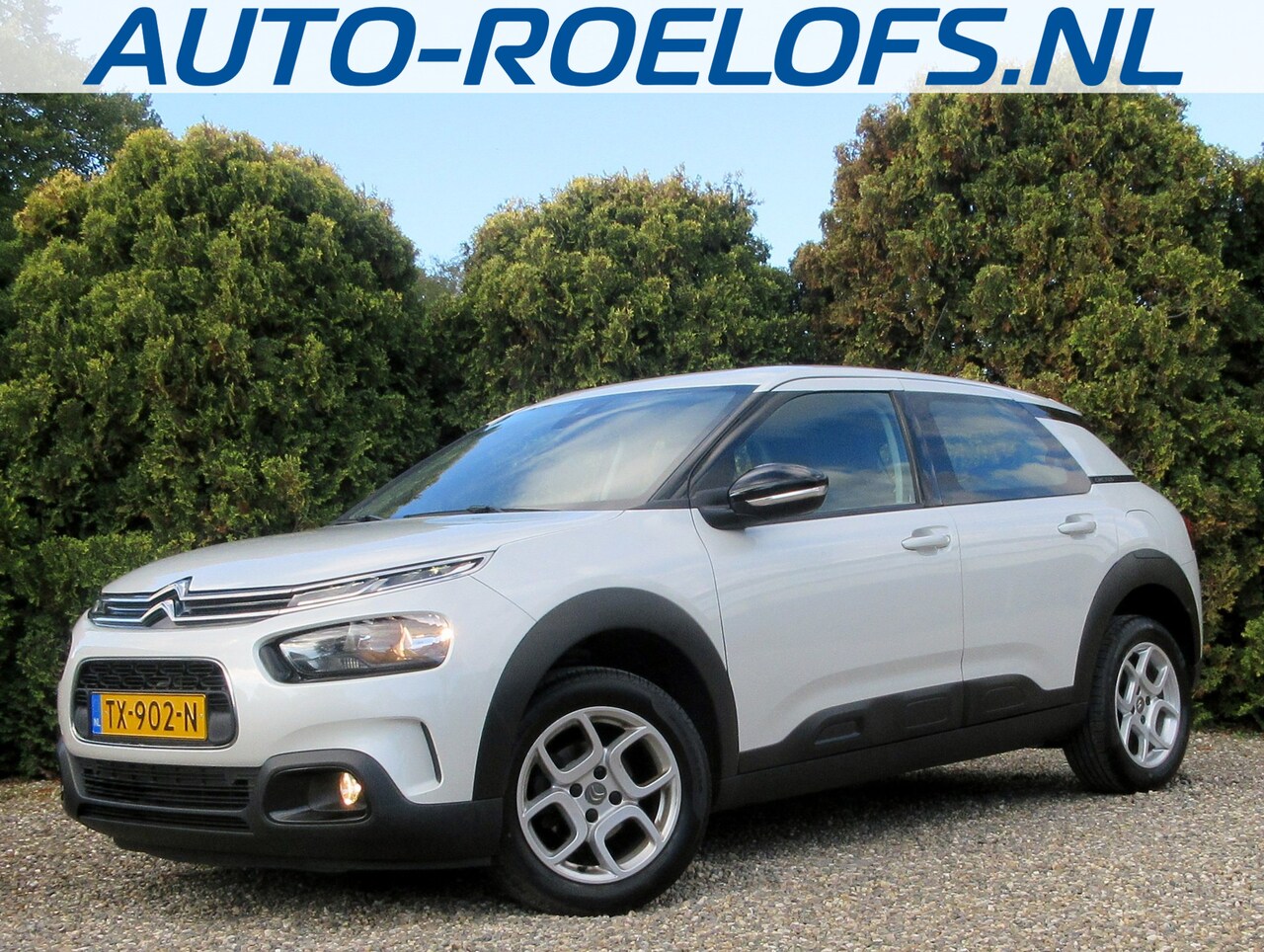 Citroën C4 Cactus - 1.2 PureTech Business * Navi * Pdc * Carplay * - AutoWereld.nl