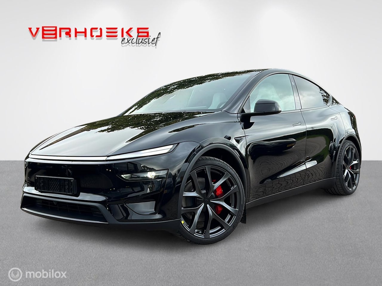 Tesla Model Y - Performance AWD 83 kWh / afneembare trekhaak - AutoWereld.nl