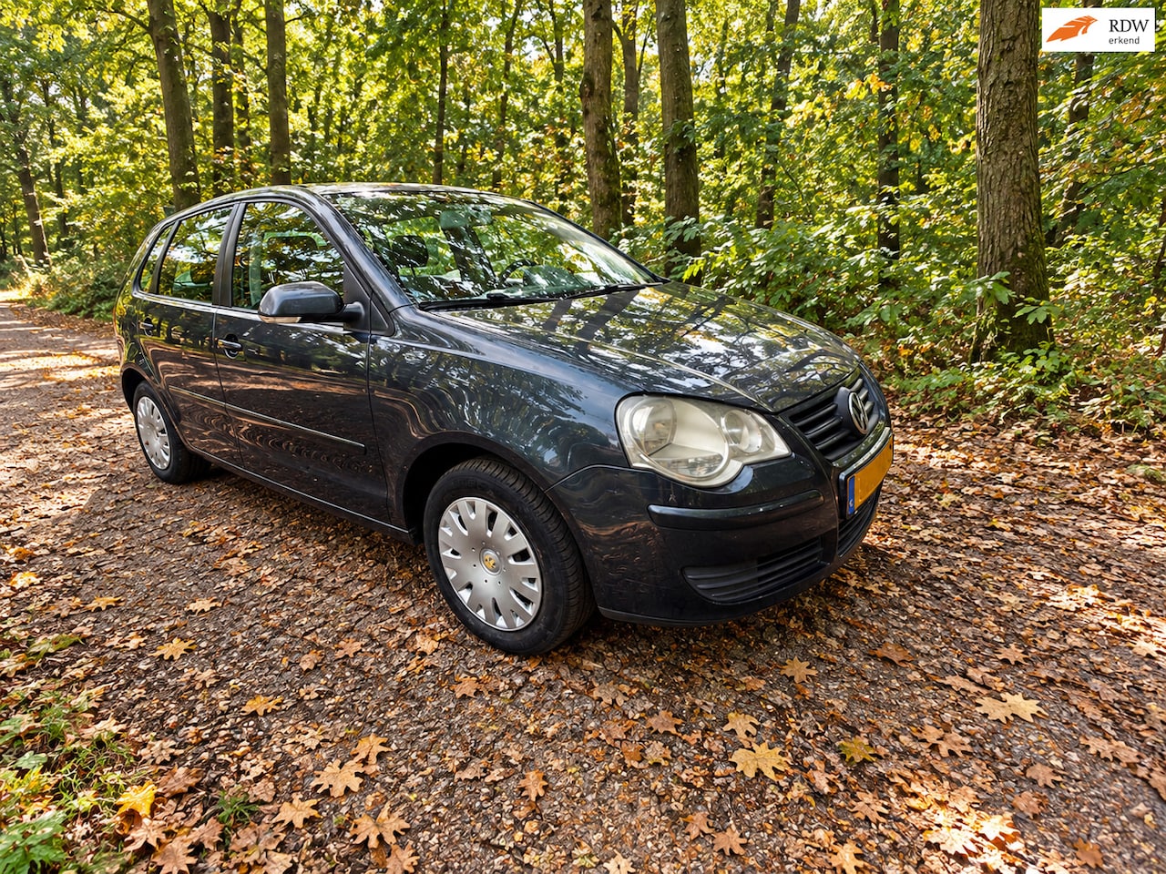 Volkswagen Polo - 1.4-16V Optive 1.4-16V Optive - AutoWereld.nl