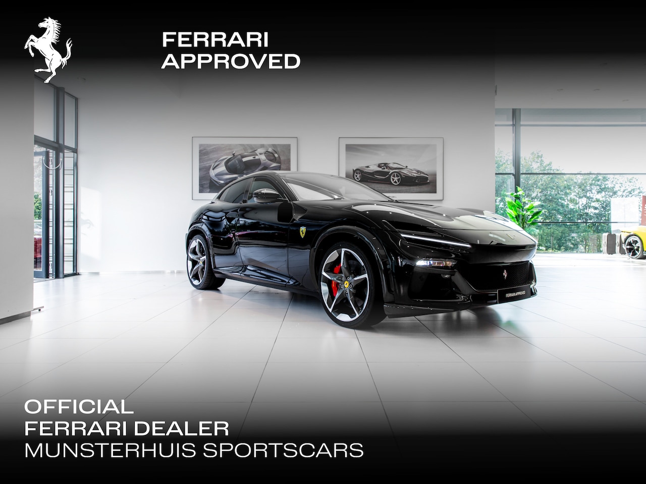 Ferrari Purosangue - ~Ferrari Munsterhuis~ - AutoWereld.nl