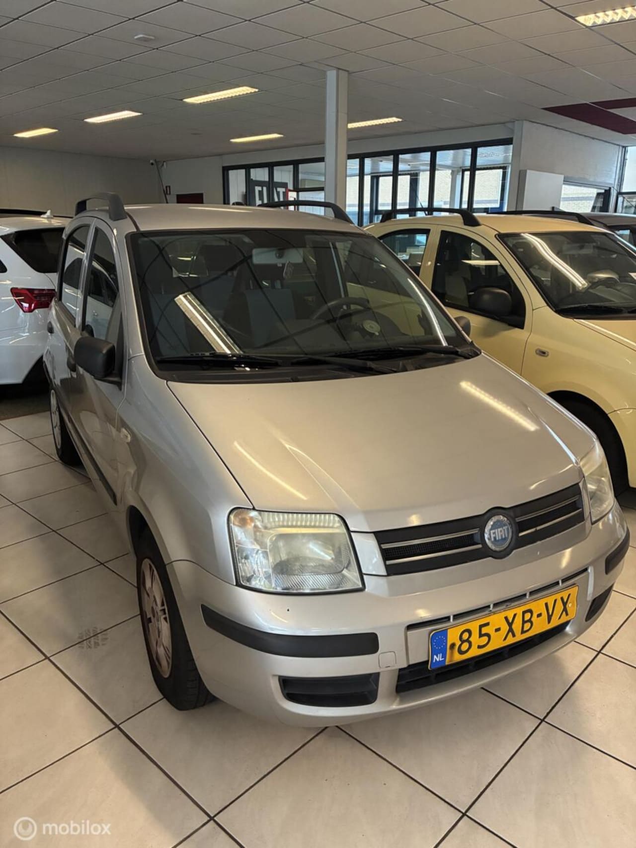 Fiat Panda - 1.2 Dynamic 1.2 Dynamic - AutoWereld.nl