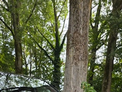 Peugeot 2008 - 1.2 PureTech GT
