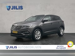 Opel Grandland X - 1.2 Turbo Business Executive | Stoelverwarming | Apple Carplay