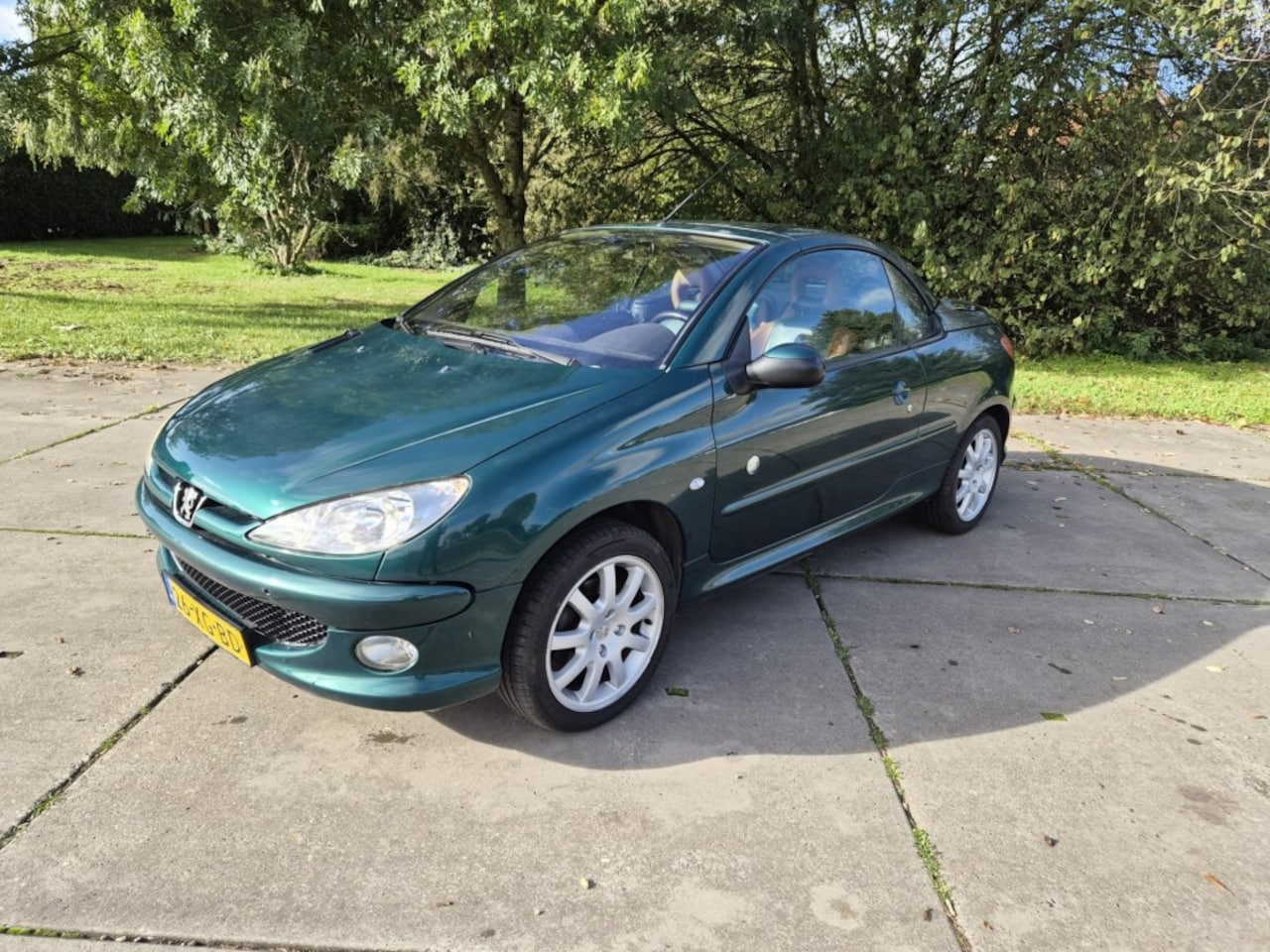 Peugeot 206 - 1.6-16V Roland Garros 1.6-16V Roland Garros - AutoWereld.nl