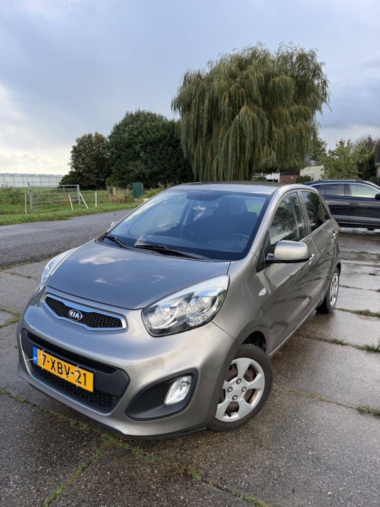 Kia Picanto - 1.0 CVVT BusinessL. - AutoWereld.nl