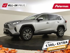 Toyota RAV4 - 2.5 Hybrid Dynamic | Navigatie | Elektr. a. klep | PDC