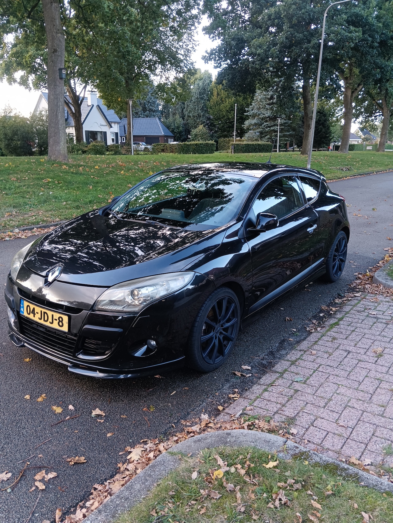Renault Mégane Coupé - 2.0 TCe Dynamique - AutoWereld.nl