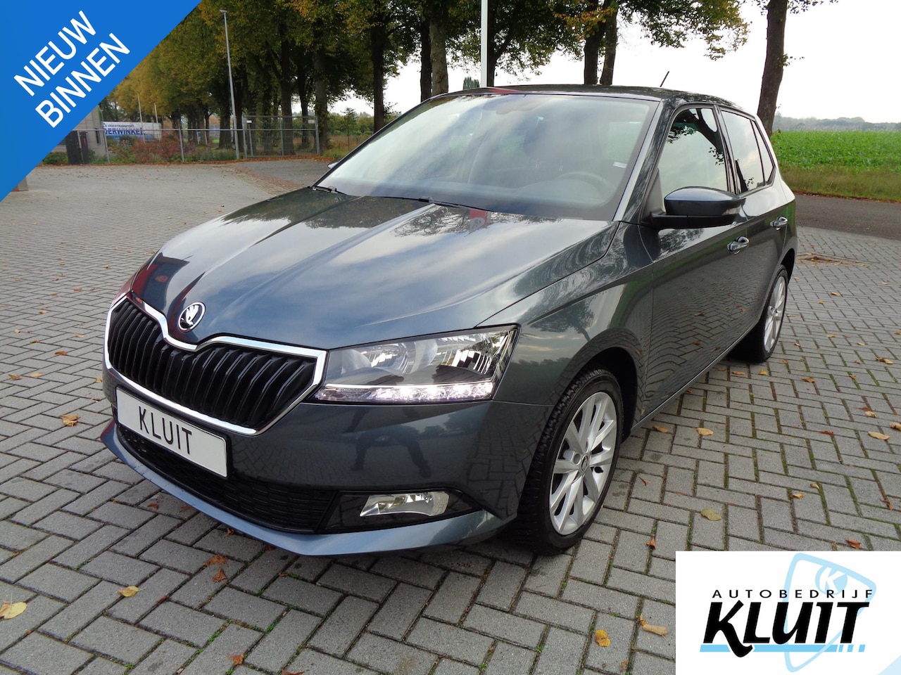 Skoda Fabia - 1.0 Business Edition Stoelverwarming Carplay - AutoWereld.nl