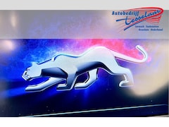 Ford Puma - 1.0 Turbo Hybrid ST-Line X Rijklaarprijs