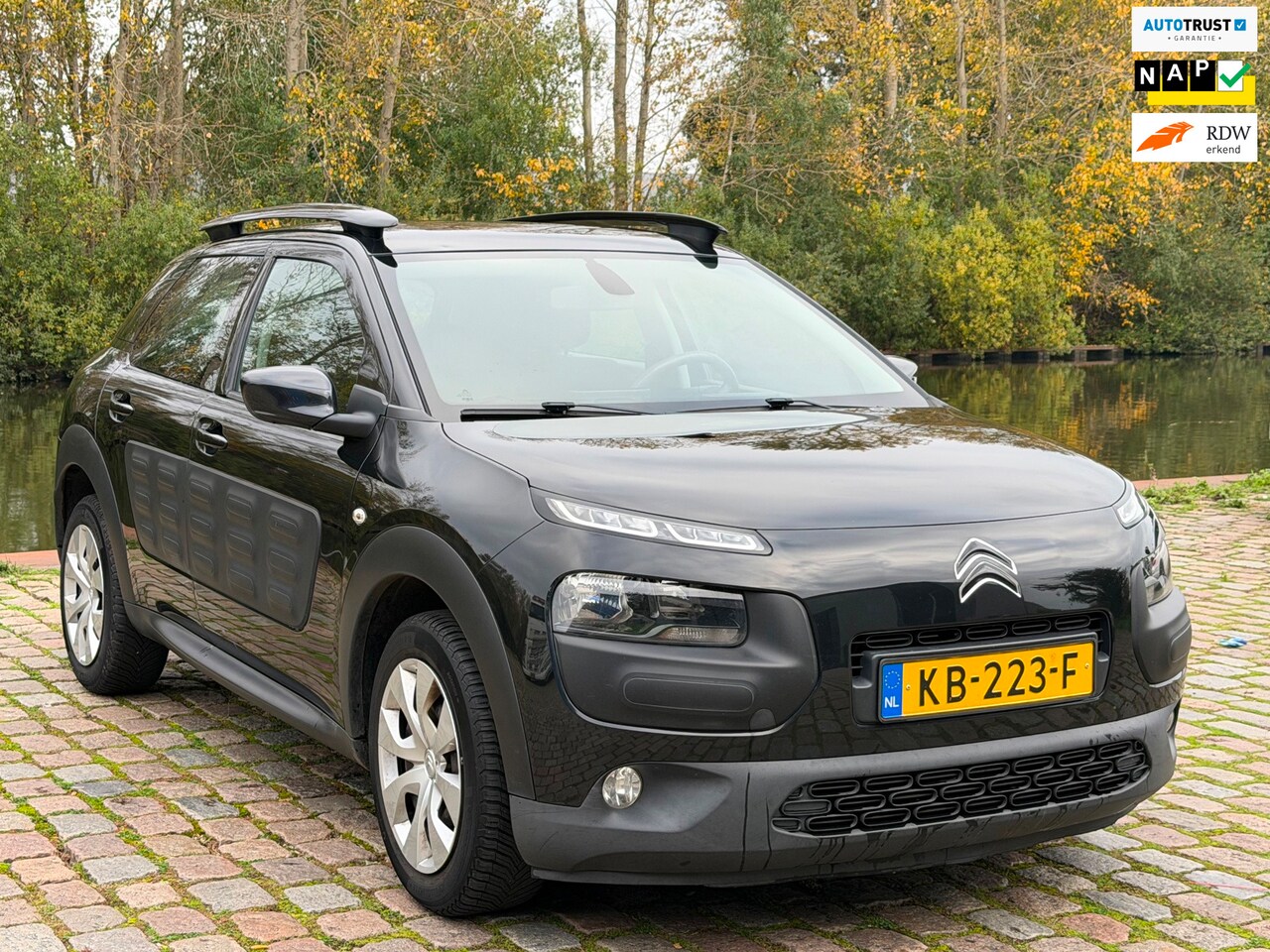 Citroën C4 Cactus - 1.2 PureTech Business Airco Elektrische ramen Cruise control Navigatie Parkeersensoren - AutoWereld.nl