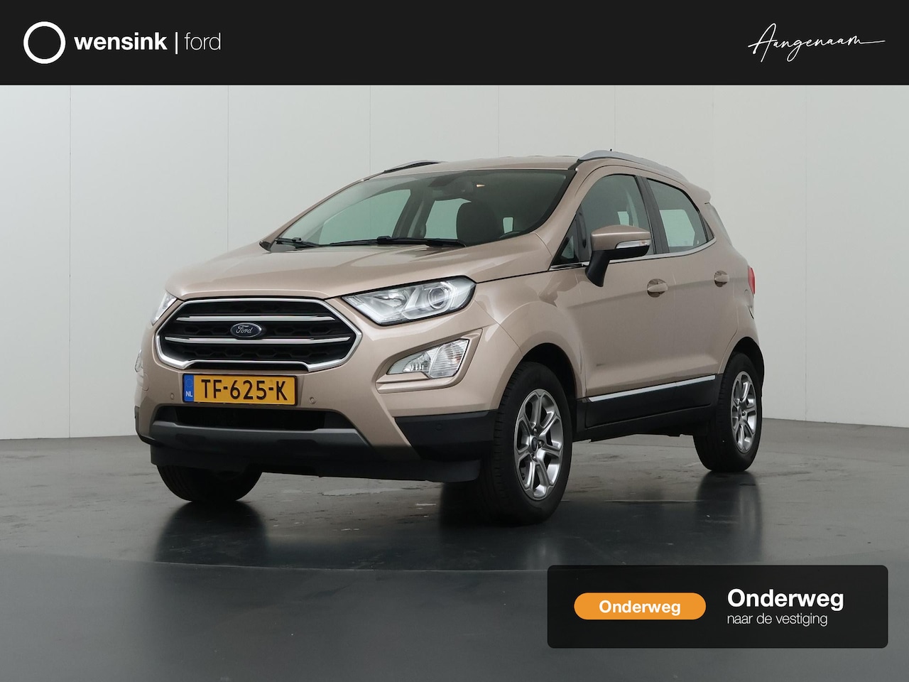 Ford EcoSport - 1.0 EcoBoost Titanium | Trekhaak | Winterpakket | Achteruitrijcamera | B&O Audio | - AutoWereld.nl