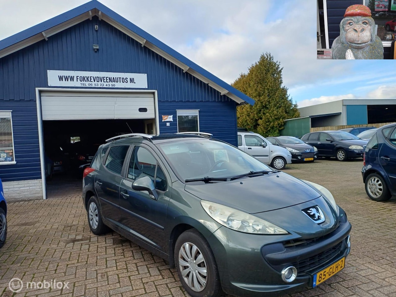 Peugeot 207 SW - 1.4 VTi XS Garantie, alle inruil mogelijk - AutoWereld.nl