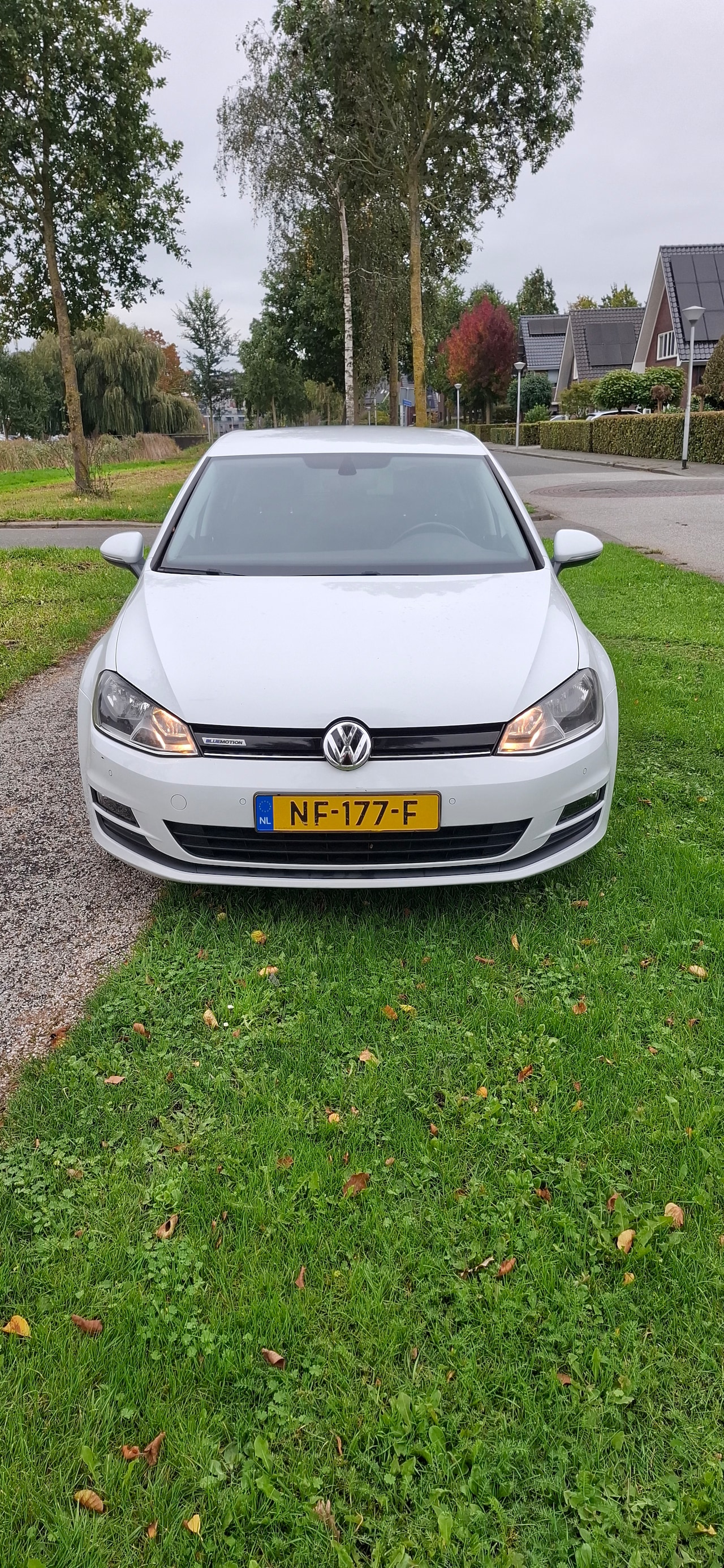 Volkswagen Golf - 1.0 TSI Comfortline - AutoWereld.nl