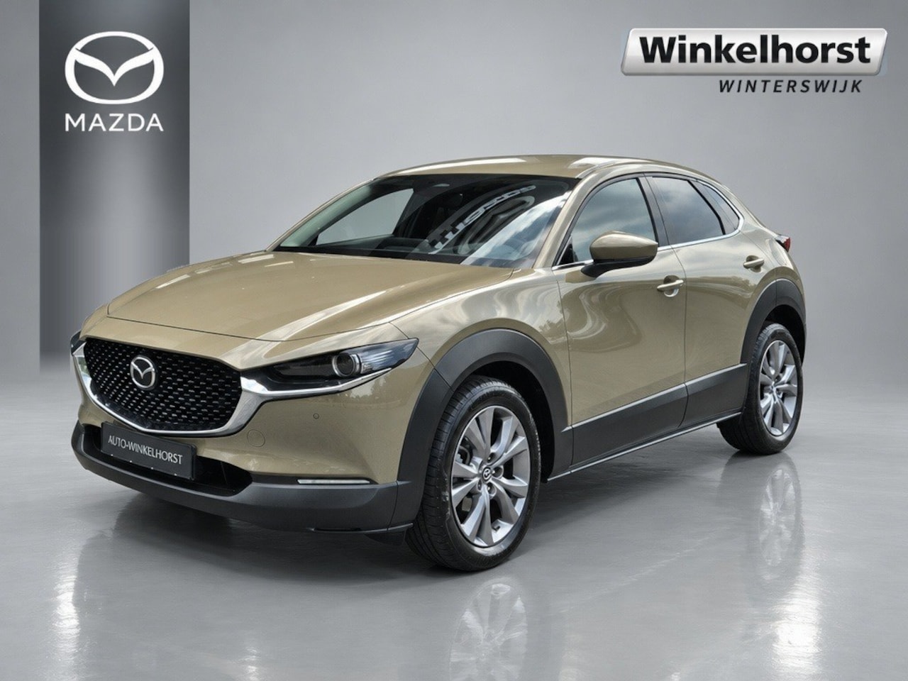 Mazda CX-30 - E- SKYACTIV- G 2.5 140 6AT M-HYBRID EXCLUSIVE-Line / 360Camera / Bose - AutoWereld.nl