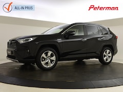 Toyota RAV4 - 2.5 Hybrid AWD High Comfort | Elektr. a. klep | Leder | JBL