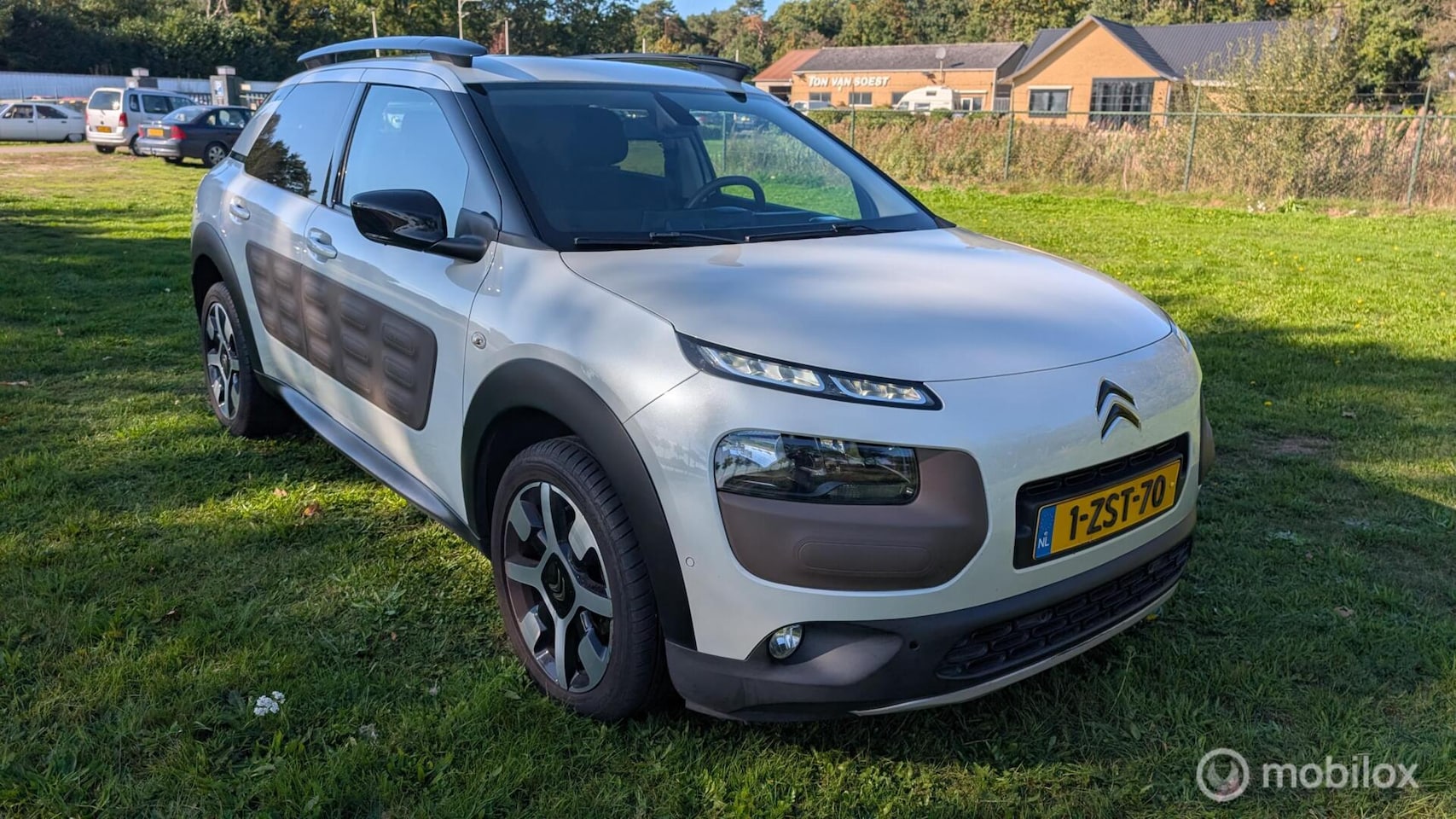 Citroën C4 Cactus - 1.2 PureTech Shine 1.2 PureTech Shine - AutoWereld.nl
