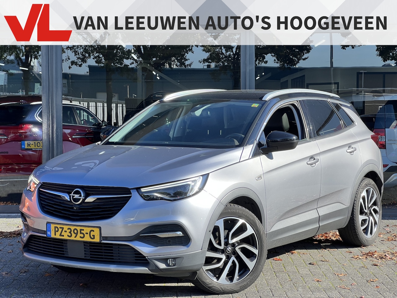 Opel Grandland X - 1.2 Turbo Online Edition | Nieuw binnen | Navi | Camera | Trekhaak - AutoWereld.nl