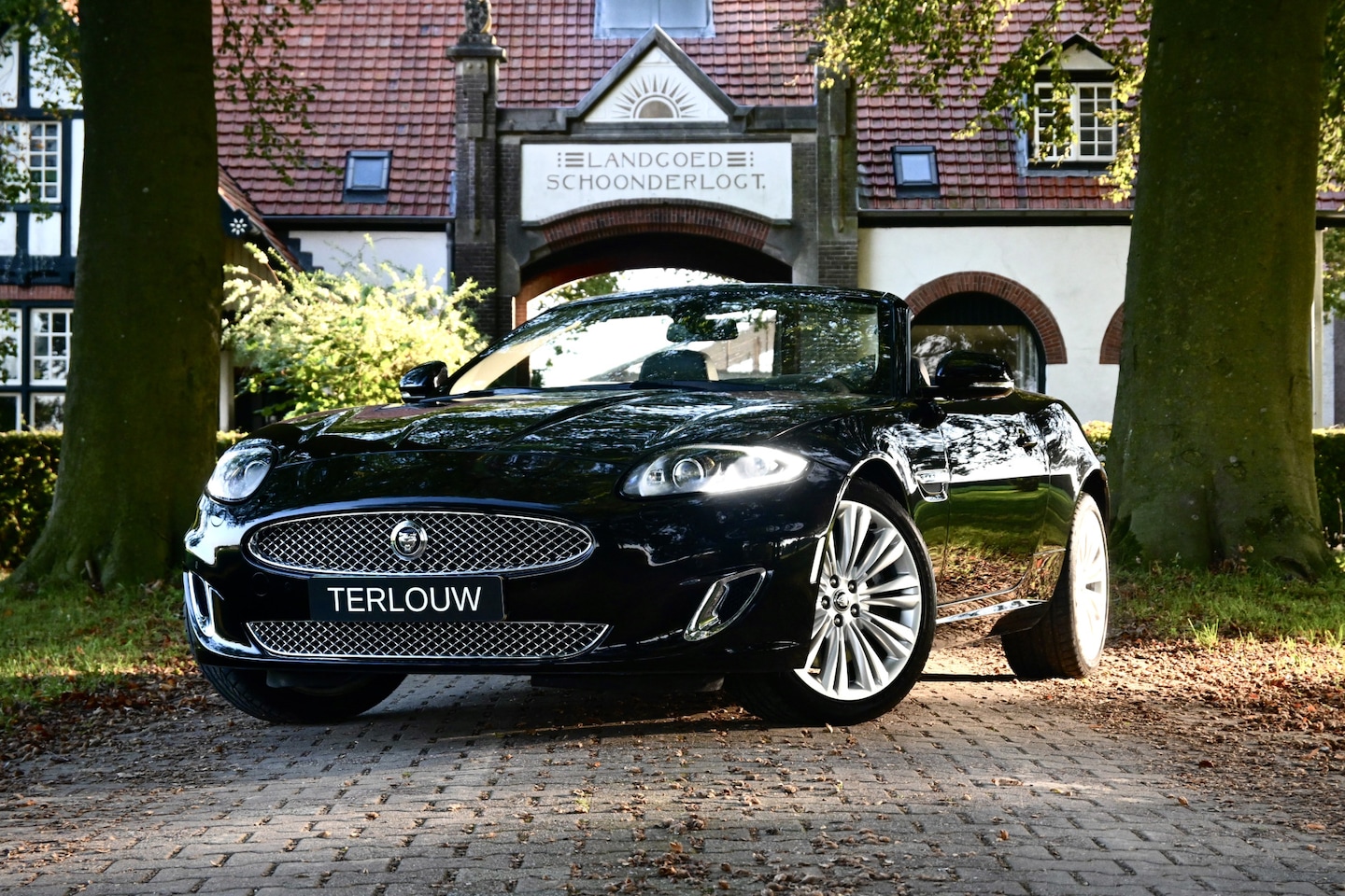Jaguar XK - 5.0 V8 Convertible 5.0 V8 Convertible - AutoWereld.nl