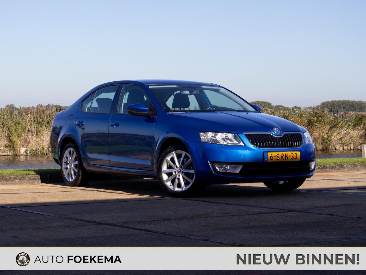 Skoda Octavia - 1.2 TSI Greentech Ambition Businessline Automaat Trekhaak Cruise control - AutoWereld.nl