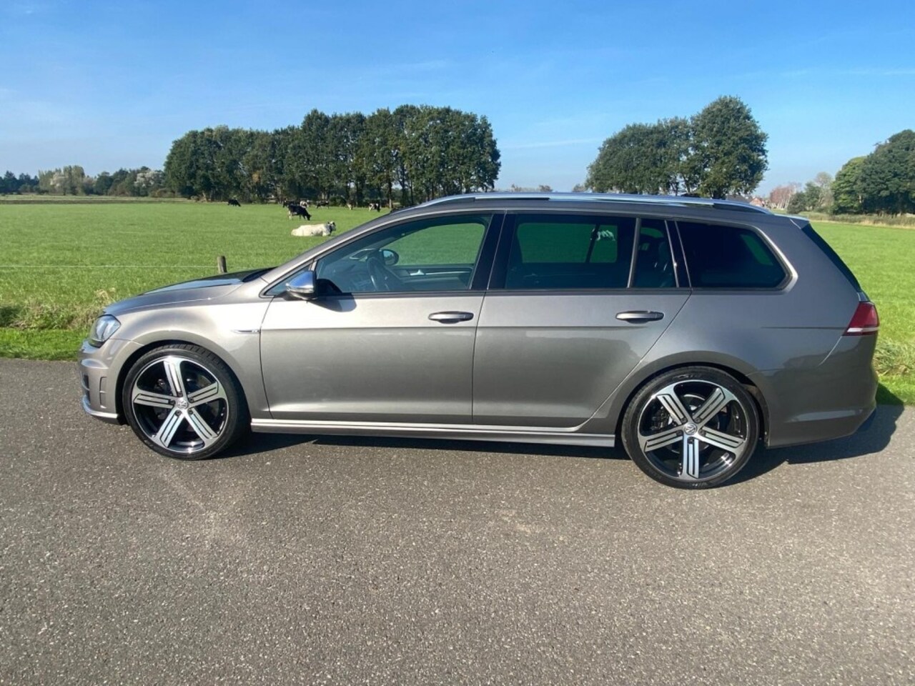 Volkswagen Golf Variant - 2.0  *R*  4 MOTION Variant  Panorama Schuifdak