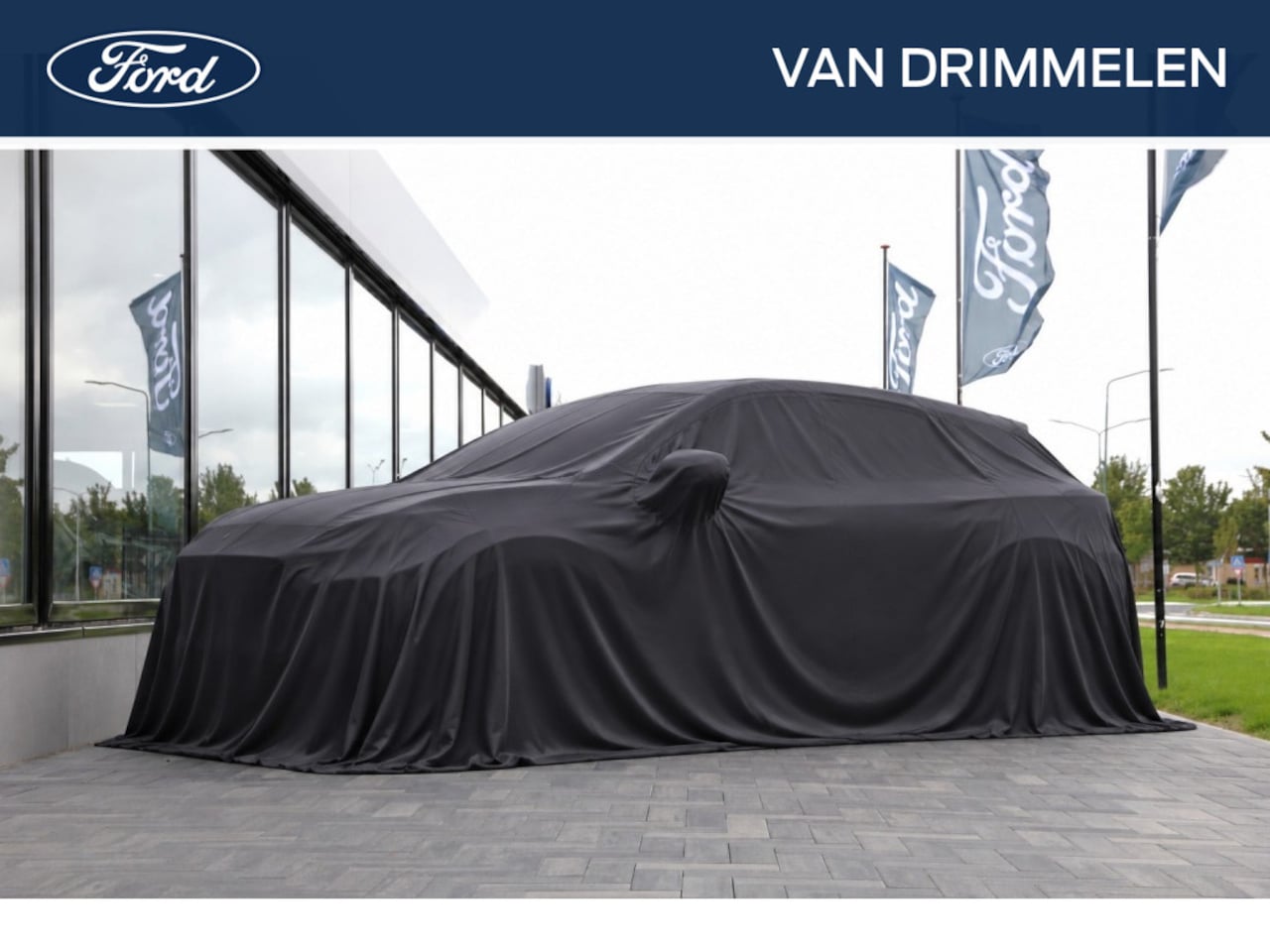 Ford Puma - 1.0i Ecoboost Hybrid 155pk ST-Line X I Matrix LED I Winterpack - AutoWereld.nl