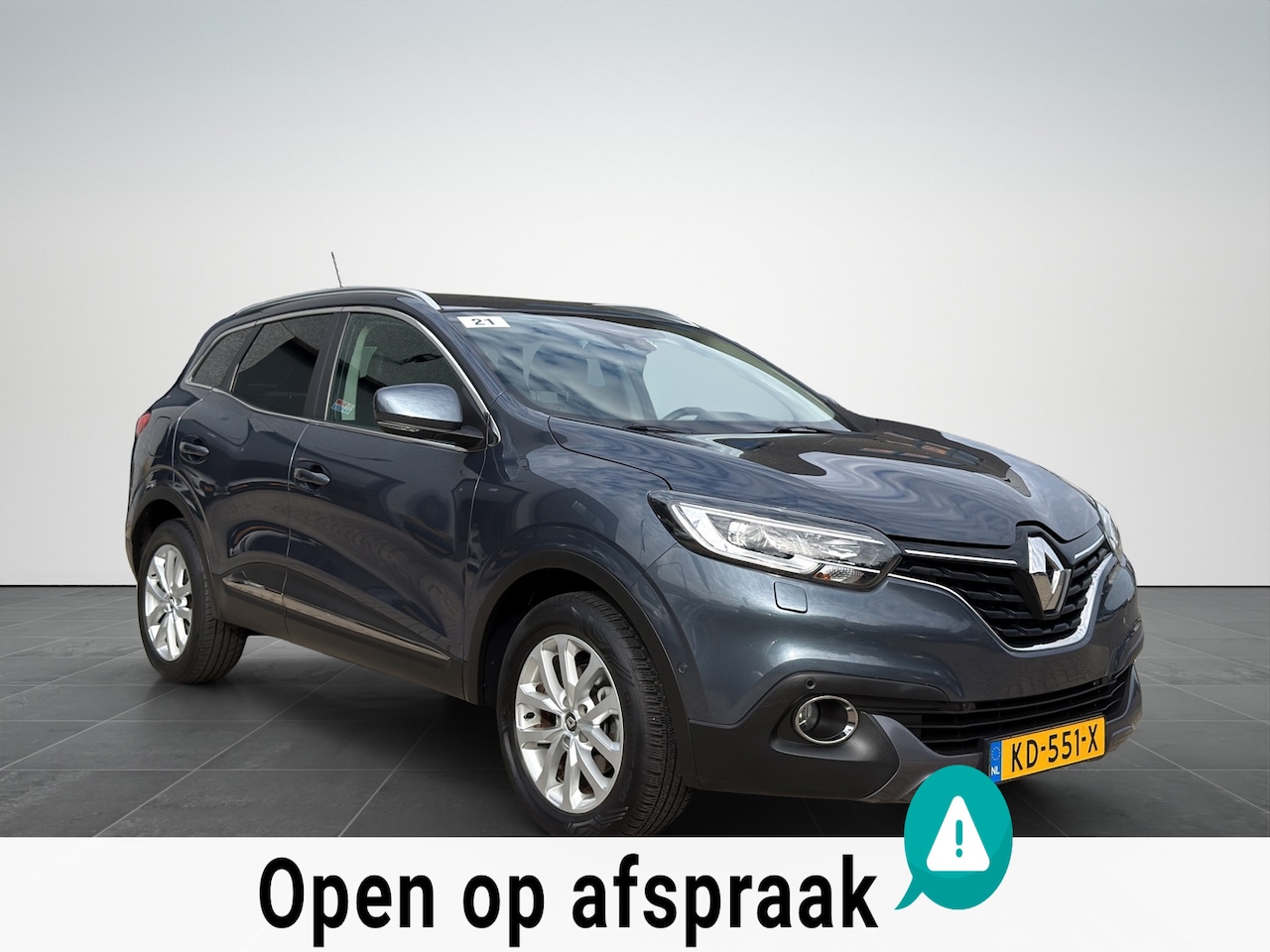 Renault Kadjar - 1.2 TCe Intens Automaat|Camera|Trekhaak|NAP - AutoWereld.nl