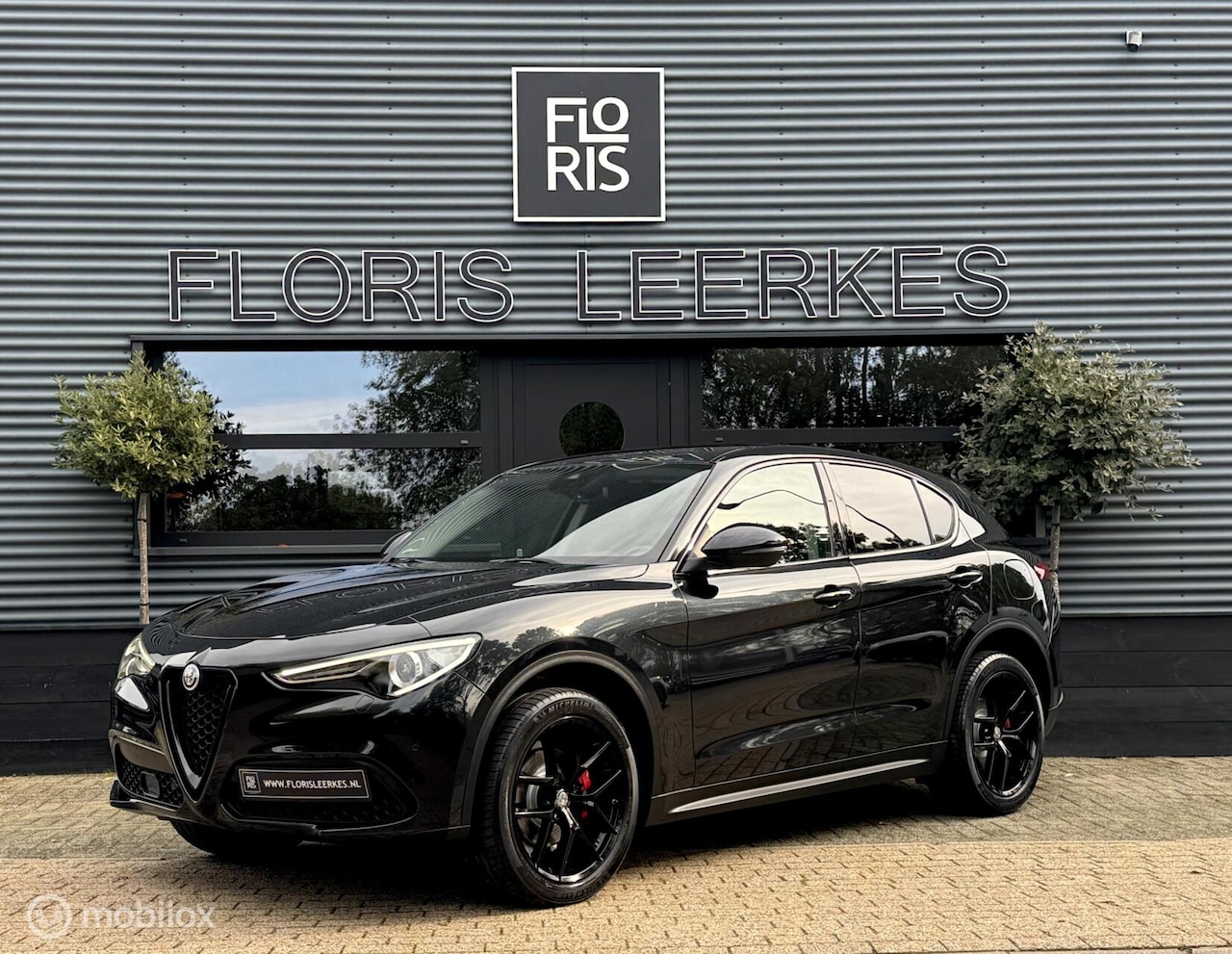Alfa Romeo Stelvio - | 2.0 T AWD | 280 PK | Zwart Leer | - AutoWereld.nl