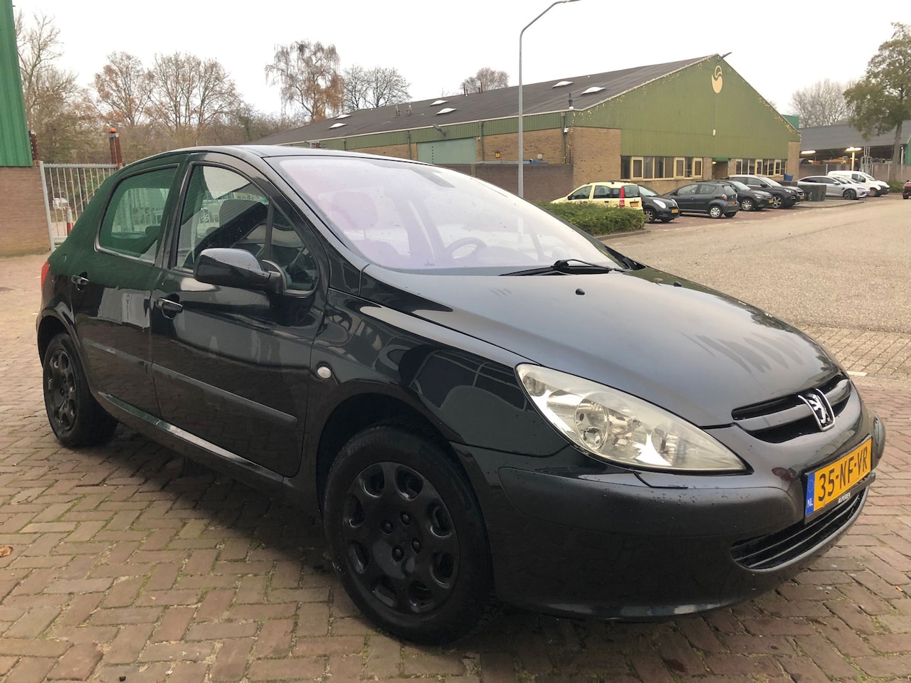 Peugeot 307 - 1.6-16V XS Automaat, leer - AutoWereld.nl