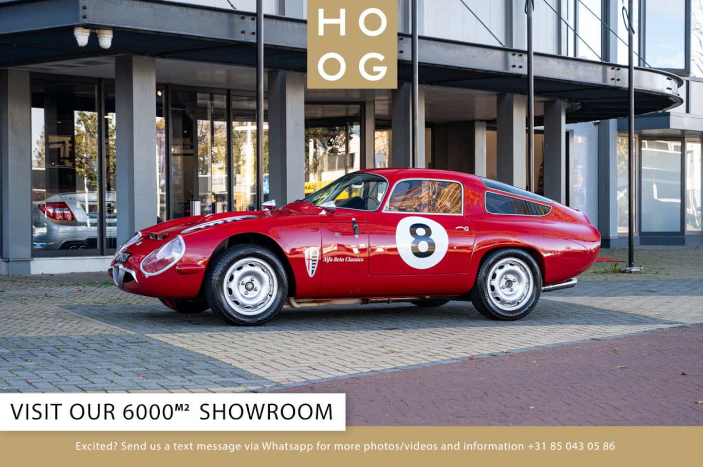 Alfa Romeo TZ1 - Tribute - AutoWereld.nl