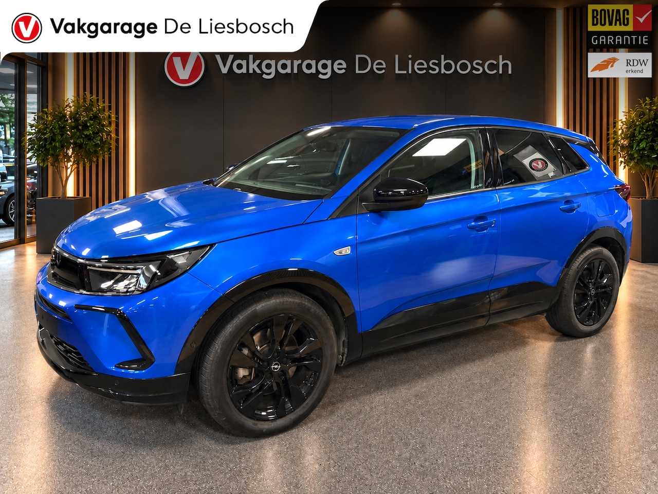Opel Grandland - 1.6 Turbo Plug-In Hybrid GS Line / 225pk / stuur verwarming / camera / Apple carplay - AutoWereld.nl