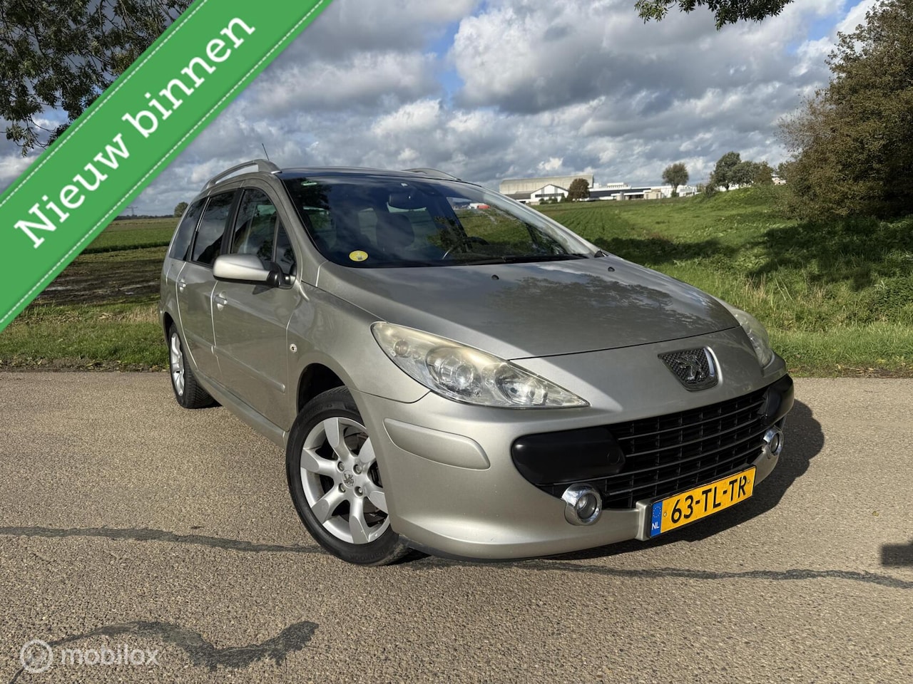 Peugeot 307 SW - 2.0-16V Premium I 7-zits I NIEUWE APK! - AutoWereld.nl