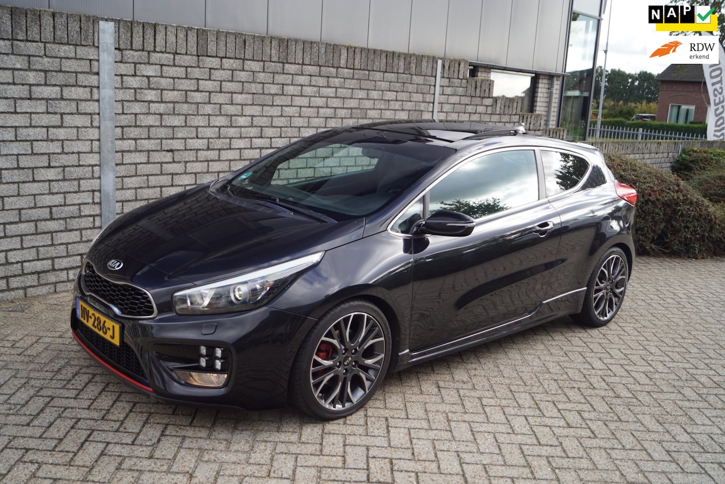 Kia Pro cee'd - 1.6 T-GDi GT 204 PK Panodak Leder/Alcantara Sportst Stoel/Stuurverw Navi Camera Clima Crui - AutoWereld.nl