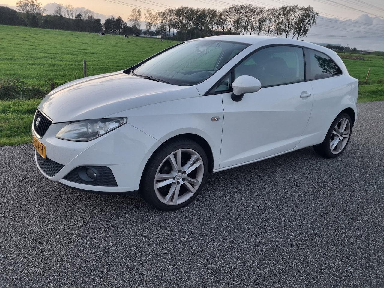 SEAT Ibiza - 1.6 Sport leder stoelen clima - AutoWereld.nl